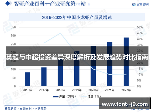英超与中超投资差异深度解析及发展趋势对比指南 英超与中超投资差异深度解析及发展趋势对比指南