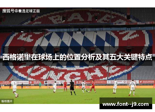 西格诺里在球场上的位置分析及其五大关键特点