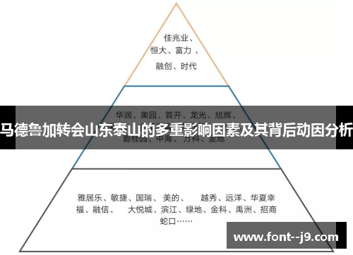 马德鲁加转会山东泰山的多重影响因素及其背后动因分析