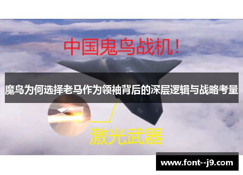 魔鸟为何选择老马作为领袖背后的深层逻辑与战略考量